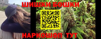 индика Будённовск